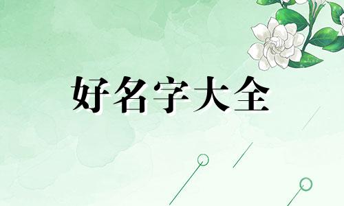 究极绿宝石4如何起名字