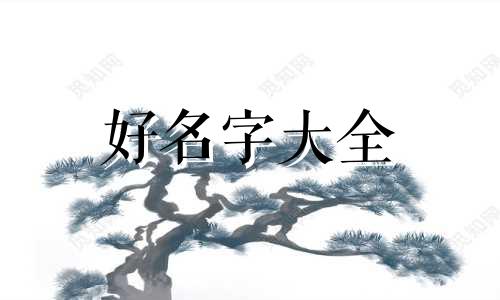 姓石的女孩子如何起名字