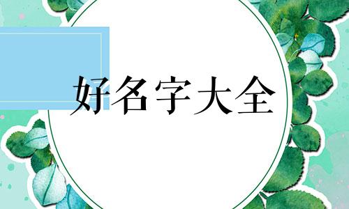 分店如何用同一名称起名