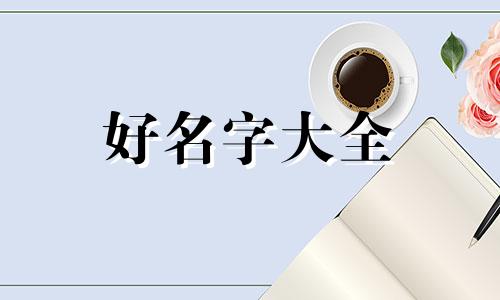 卖吹风机淘宝店如何起名字