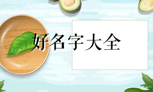 不会五行如何起名字好听点