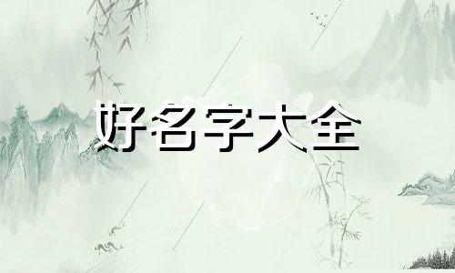 水果店卖零食如何起名好听