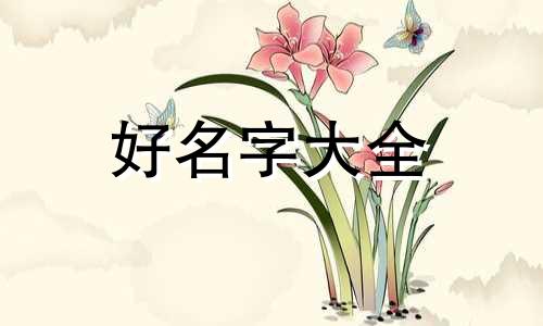 摄影沙龙如何起名字好听一点
