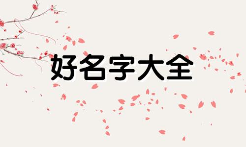 如何给一只小黄猫起名字