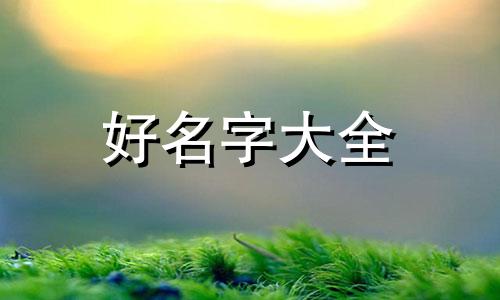 家纺店如何起号起名字好听