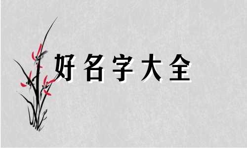 王姓和戴姓如何起名字男孩