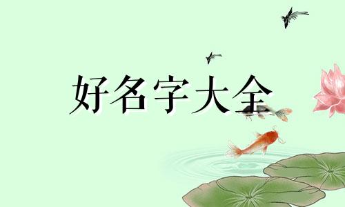 开家牛肉汤如何起名字呢