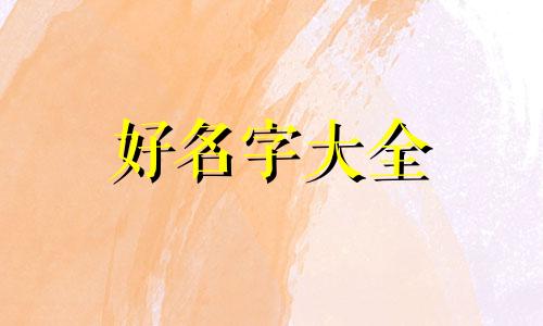 如何给咖色衣服起名字呢