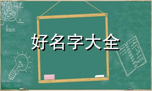 如何给鸟画起名字女的可爱