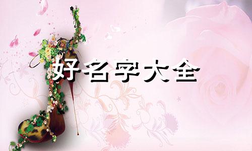 属狗宝宝应该如何起名字