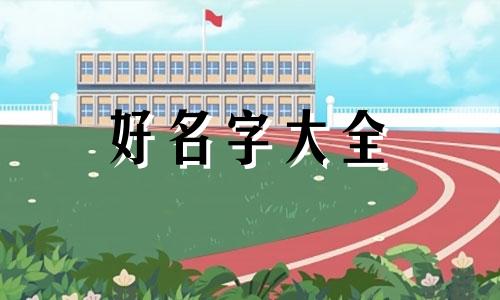 如何给小兔子起名称呢英文