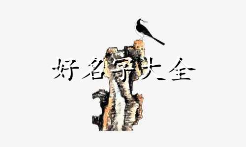 八字中如何起名字最好的