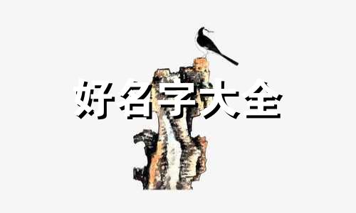 河道如何起名称好听一点