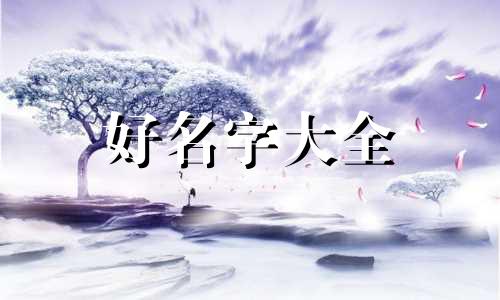 如何利用八卦易经起名字