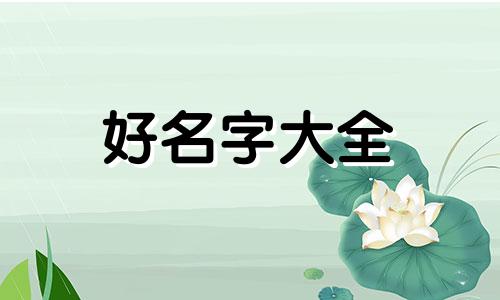 一个舞队如何起名字呢