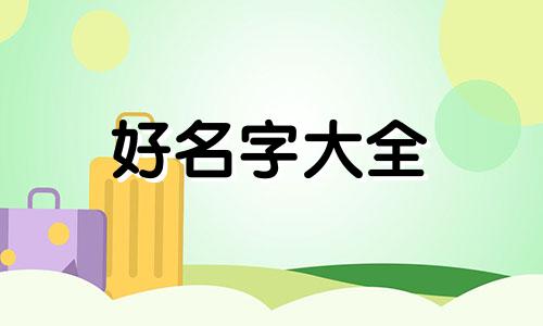 宠物狗店如何起名字吸引人