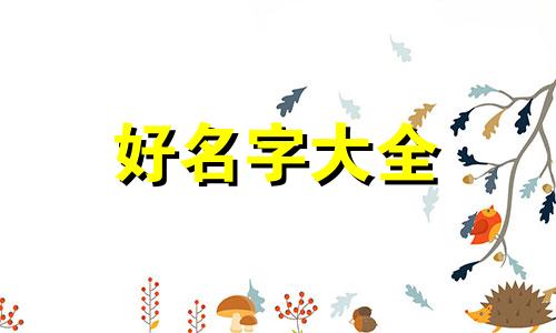 二月兔宝宝如何起名字男孩