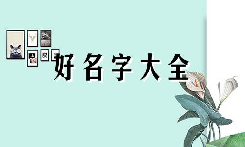 金属乐队如何起名字好听一点