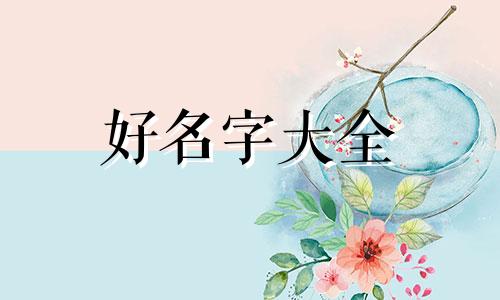 如何给自己的沙发垫起名字