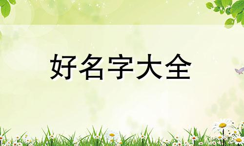 虎宝宝取名翊字如何起名字好听