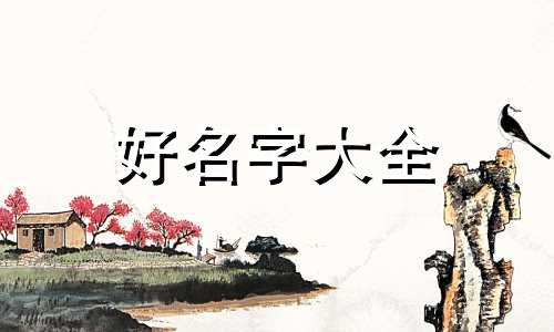如何给龟龟起名字大全好听