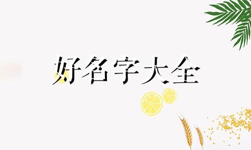 男孩子起名叫子禾如何取名
