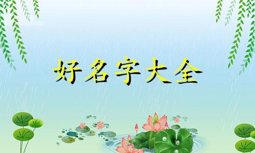 柠檬茶店如何起名字吸引人