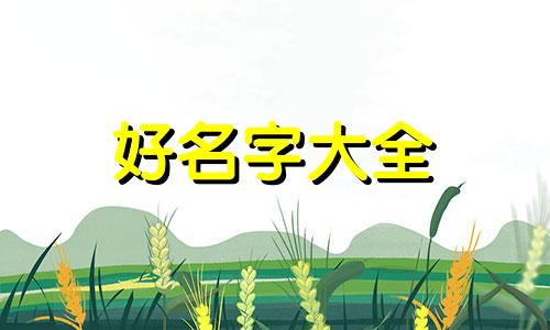 洗车行业如何起名字好听男