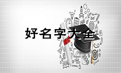 物流站如何起名字好听一点