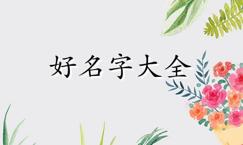 如何帮玩偶起名字大全好听