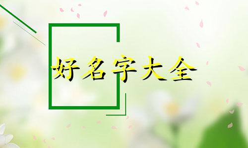 零食名字如何起名字好听点