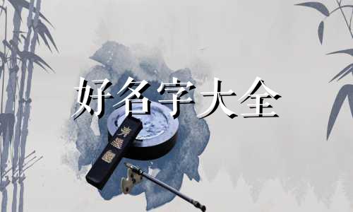 画的小动物如何起名字呢