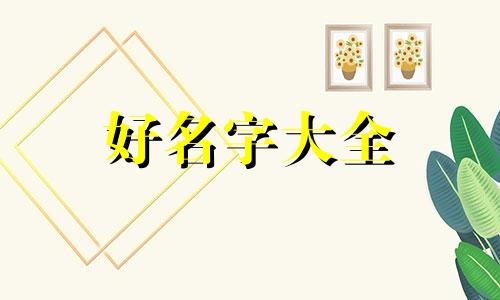 如何给贺姓男孩起名字好听洋气