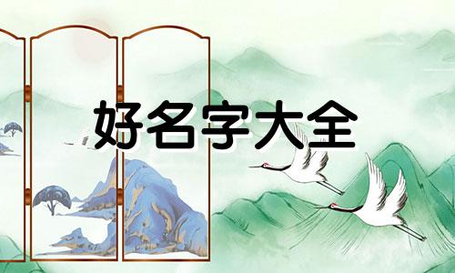狸花猫如何起名字好听一点