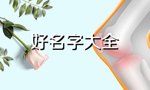 做电动工具如何起名字好听