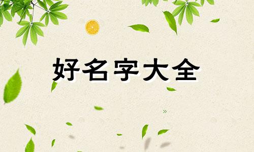 如何给电动车起名称和图片