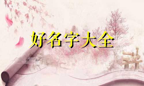 如何发展一个窗帘店起名字