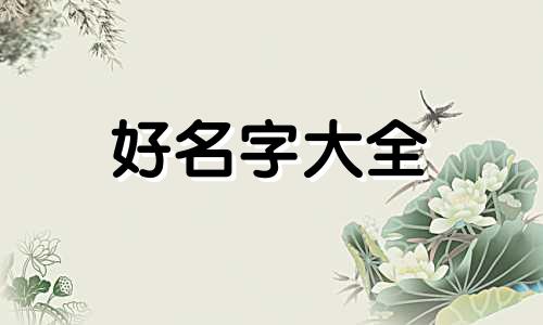 我姓魏面馆如何起名子女孩