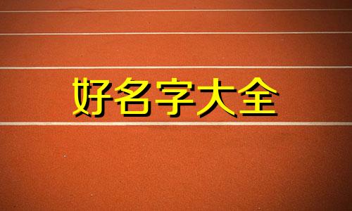 泰拉瑞亚灾厄角色如何起名字