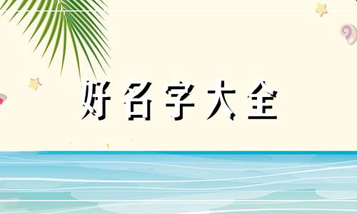 市政道路如何起名称呢英文