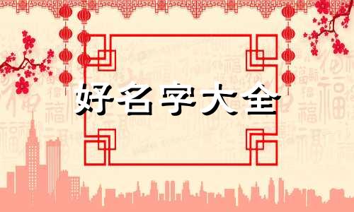 如何为一只猫起名字男