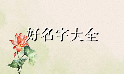 接画网店如何起名字吸引人