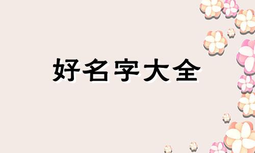 做一个辅助该如何起名字