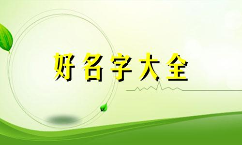 如何给两只小白橘起名字