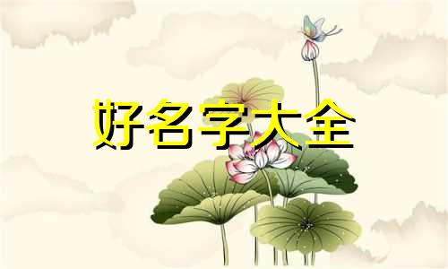起名四季滋补养生堂如何