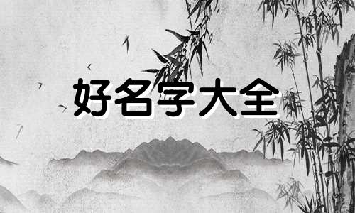 九曜星如何起名字女孩子