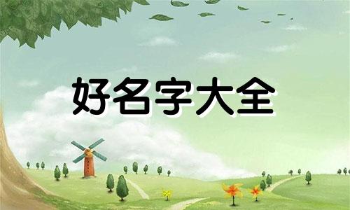 做零食博主如何起名字