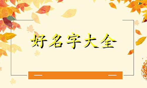 如何帮母猫起名字好听一点