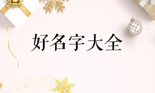 一个机场如何起名字呢女生
