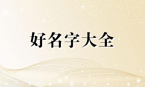 宠物用品如何起名字吸引人